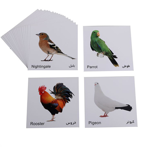 کارت پازل پرندگان